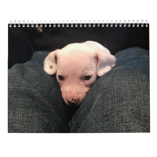 Calendário Dachshund Duplo (Verso)