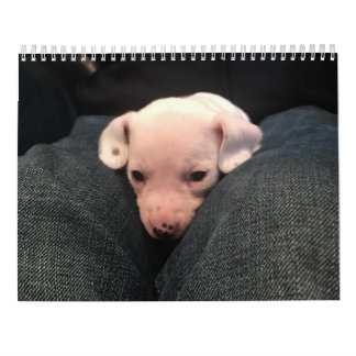 Calendário Dachshund Duplo