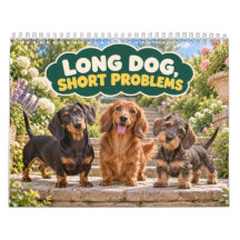 Dachshund Engraçado Cachorro Longo Problemas Curto