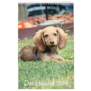 Calendário Dachshunds 2014