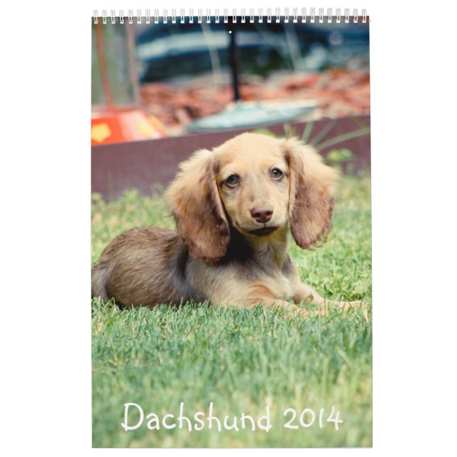 Calendário Dachshunds 2014 (Capa)