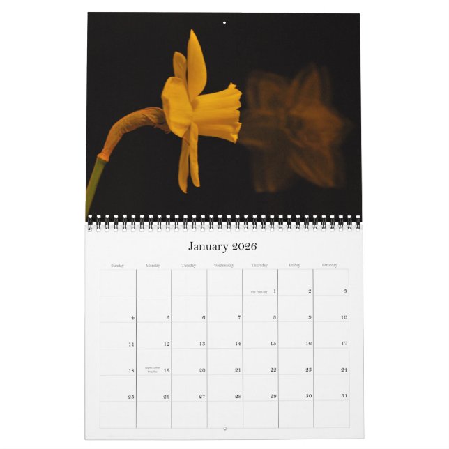 Calendário Daffodils (Jan 2026)