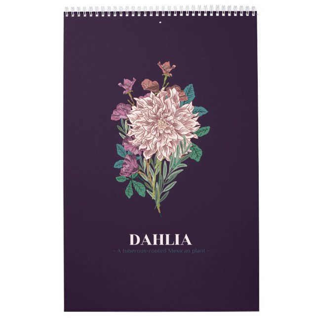 CALENDÁRIO DAHLIA (Capa)