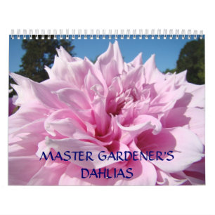 Calendário Dahlias de Dahlias do Jardineiro FLORAL CALENDAR