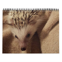 Dakota, aparelho & amigos!