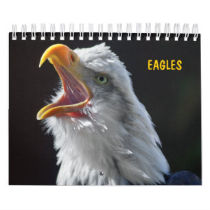 Calendário das Águias