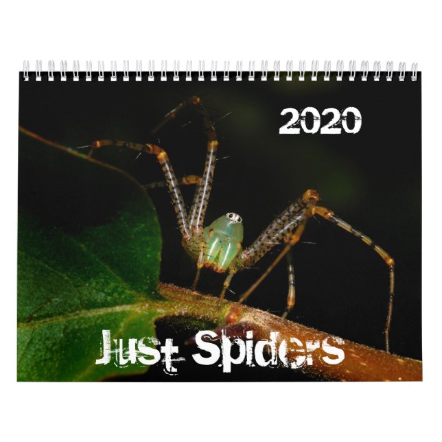 Calendário das Aranhas, 2020 (Capa)