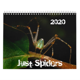 Calendário das Aranhas, 2020