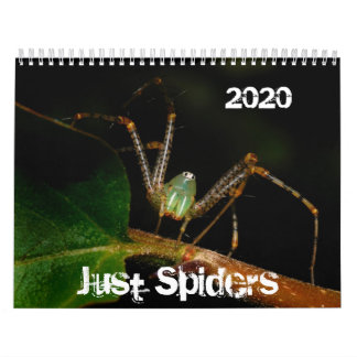 Calendário das Aranhas, 2020
