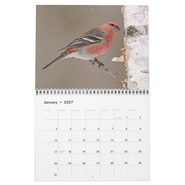 Calendário das Aves 2013 (Jan 2027)