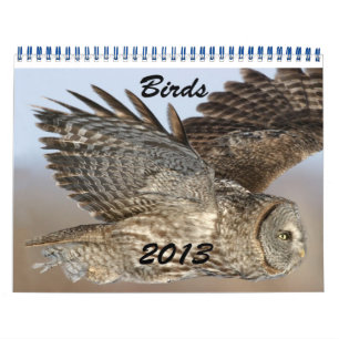 Calendário das Aves 2013