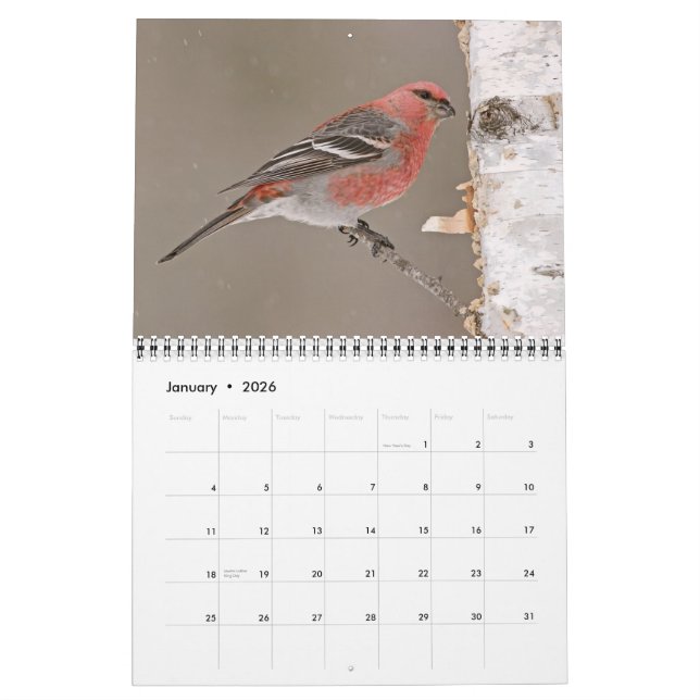Calendário das Aves 2013 (Jan 2026)