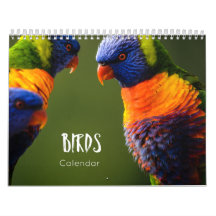 calendário das aves 2023