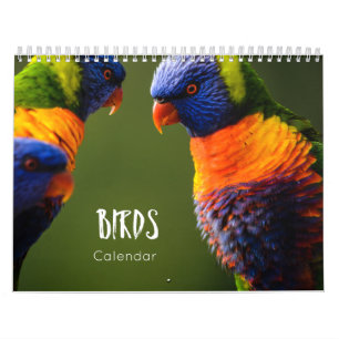 calendário das aves 2023