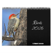 Calendário das Aves 2026