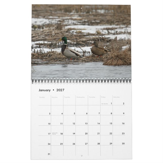 Calendário das aves aquáticas 2011 (Jan 2027)