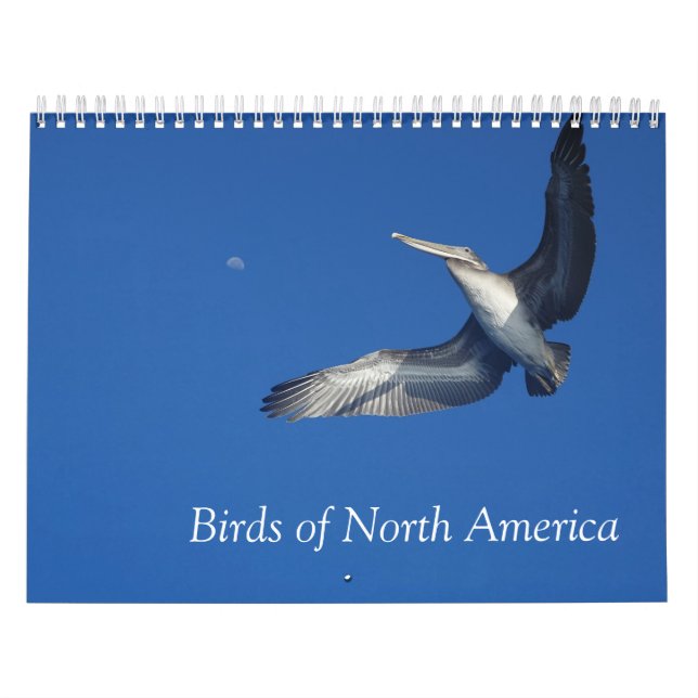 Calendário das aves da América do Norte (Capa)