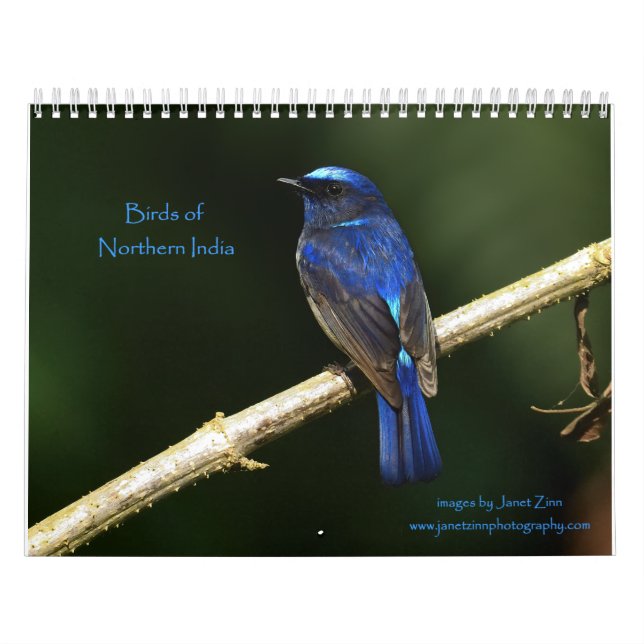 Calendário das Aves da Índia Norte (Capa)