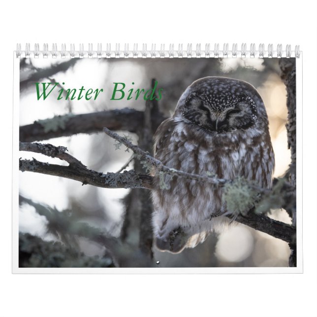 Calendário das Aves de inverno (Capa)