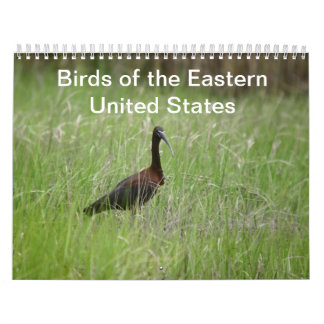 Calendário das aves do Leste dos Estados Unidos