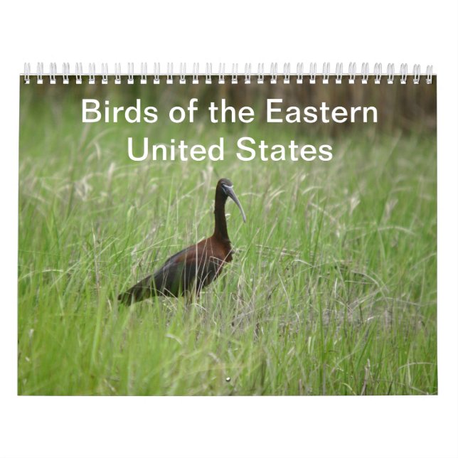 Calendário das aves do Leste dos Estados Unidos (Capa)