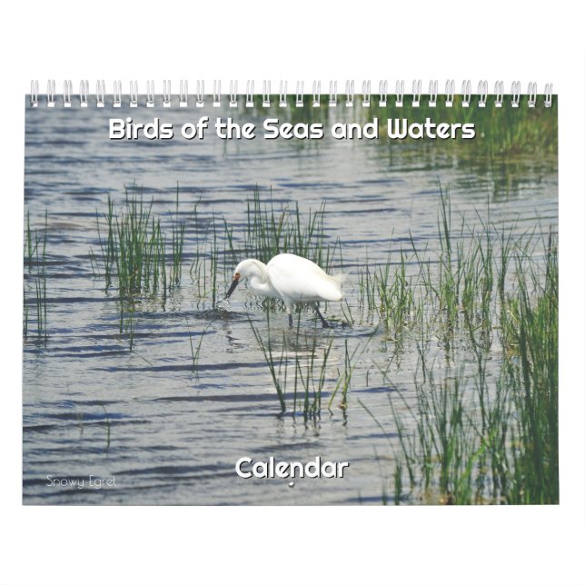 Calendário das Aves do Mar e das Águas (Capa)