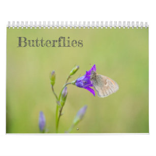 Calendário das borboletas