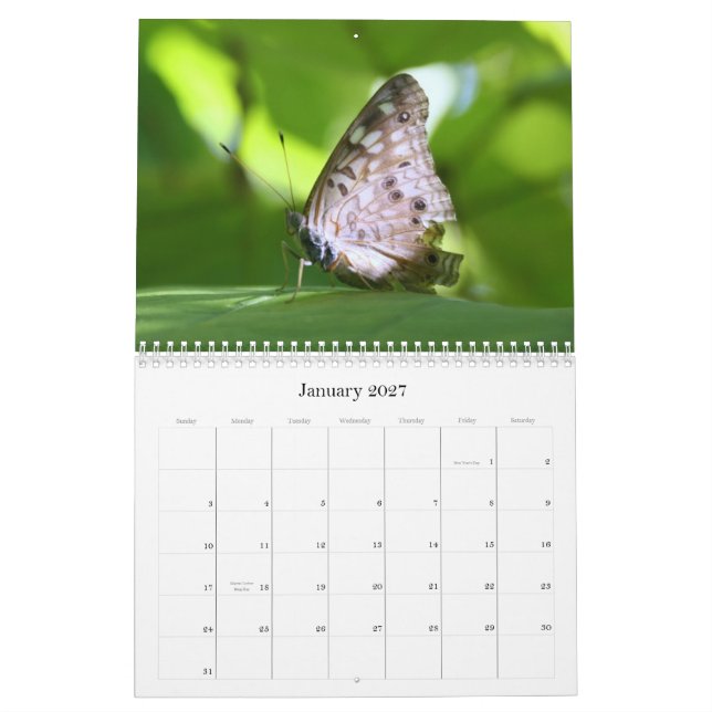 Calendário das borboletas 2011 (Jan 2027)