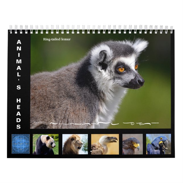 Calendário das cabeças dos animais 2025 (Capa)