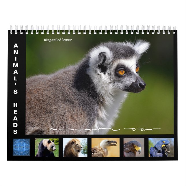 Calendário das cabeças dos animais 2025 (Capa)