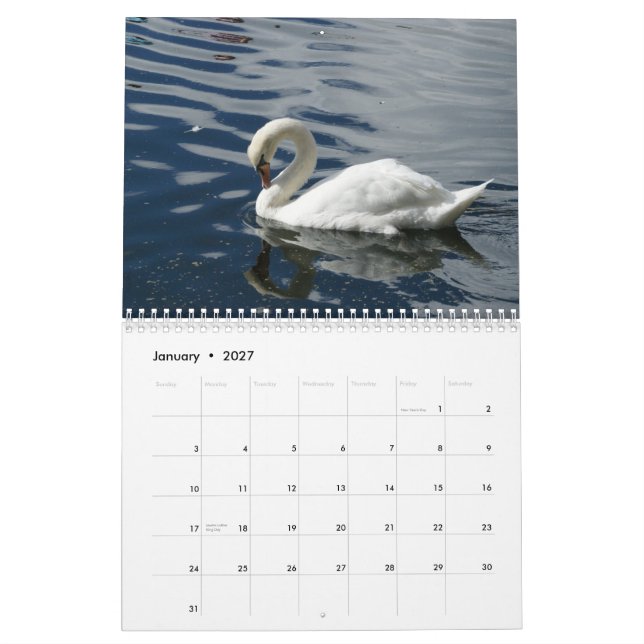 Calendário das cisnes 2012 (Jan 2027)