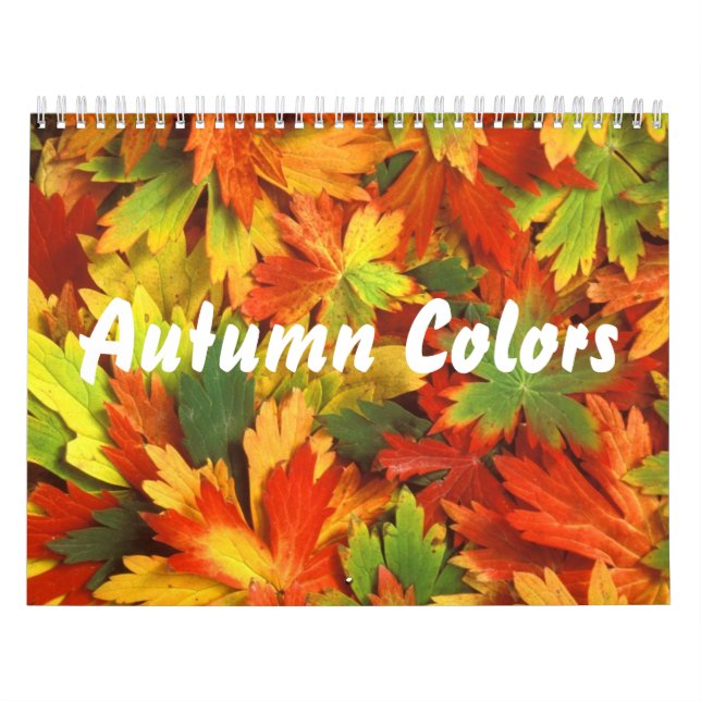 Calendário das Cores de Outono 2 (Capa)