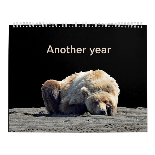 Calendário das crias de urso pardo (Capa)