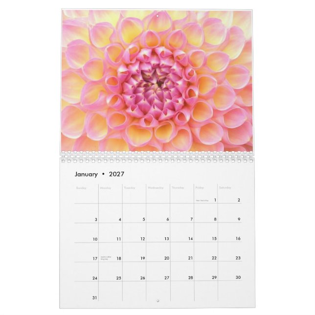 Calendário das dálias 2011 (Jan 2027)