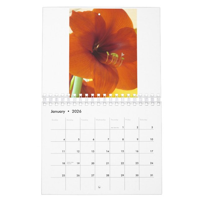 Calendário das flores 2013 (Jan 2026)