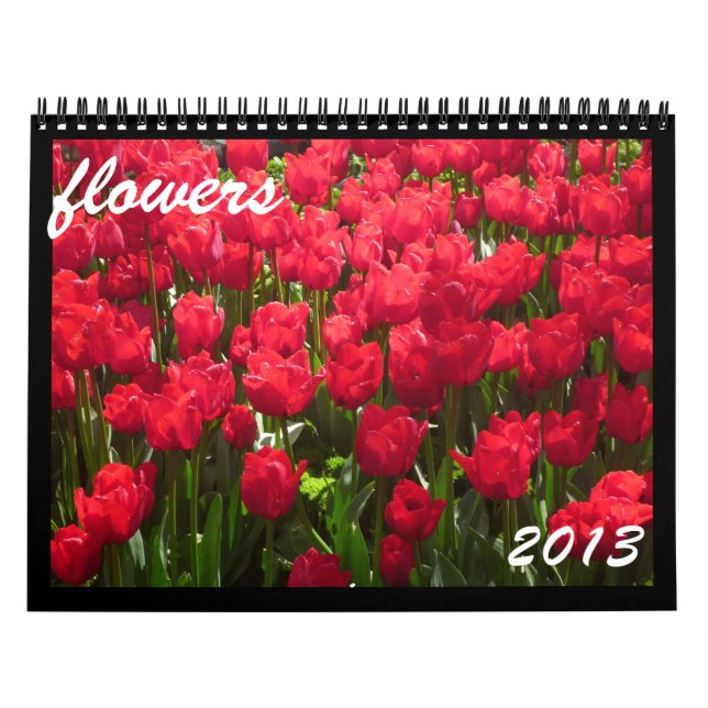 calendário das flores 2013 (Capa)