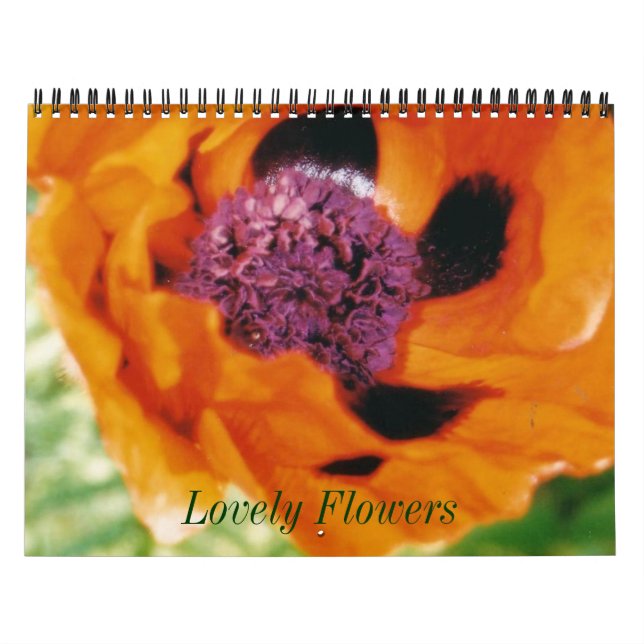 Calendário das Flores Adoráveis (Capa)