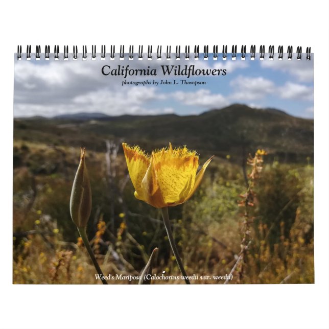 Calendário das Flores da Califórnia (Capa)