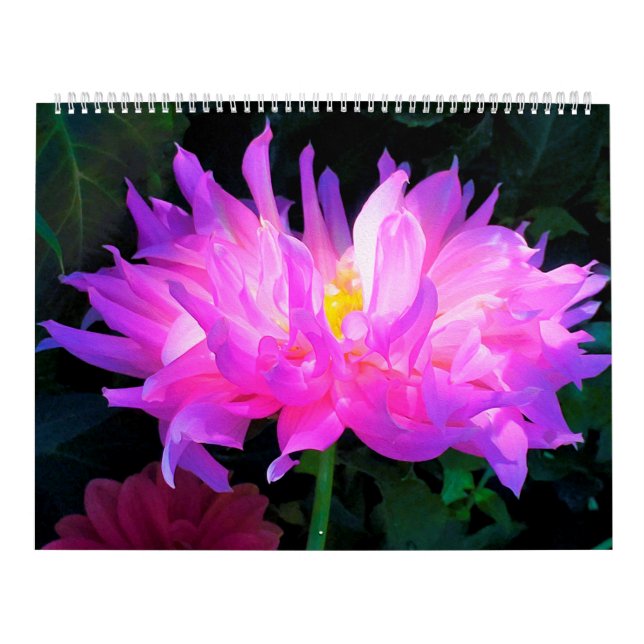Calendário das Flores de Dahlia 2024 (Capa)