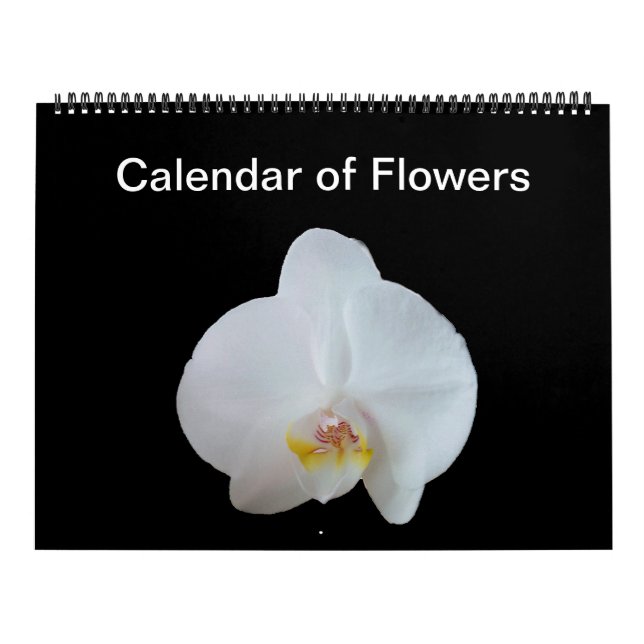 Calendário das Flores Sunny Daze (Capa)