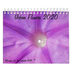 Calendário das Flores Urbanas 2020