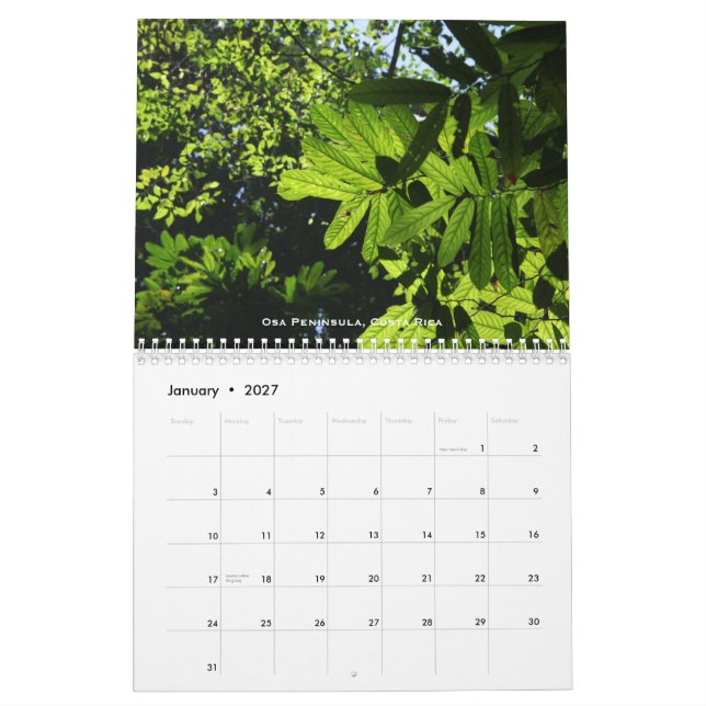 Calendário das florestas húmidas (Jan 2027)