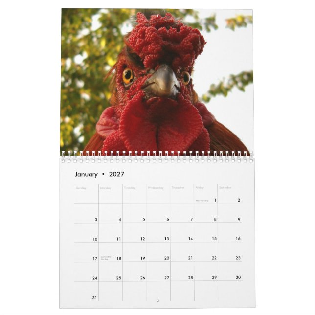 Calendário das galinhas & dos galos (Jan 2027)