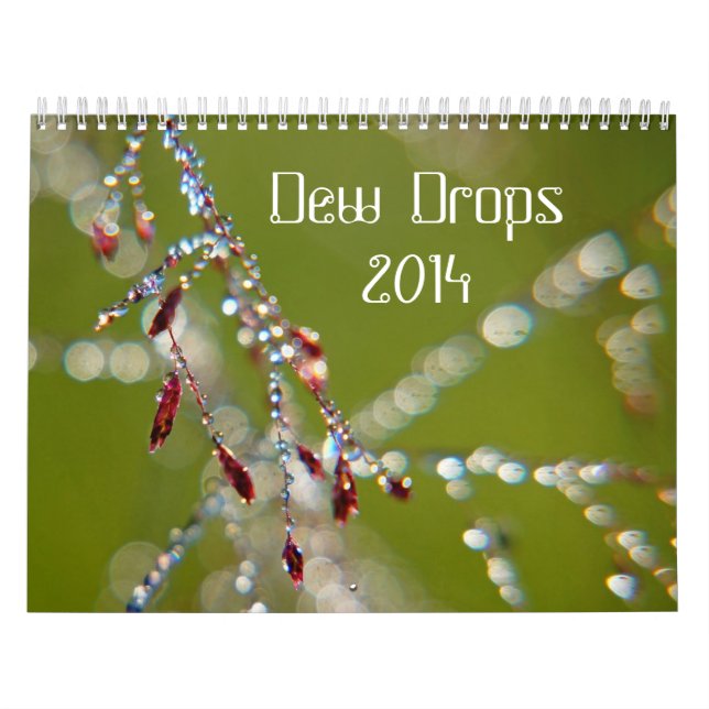 Calendário das gotas de orvalho 2014 (Capa)