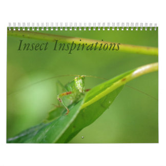 Calendário das inspirações do inseto