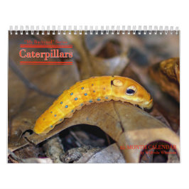 Calendário das lagartas da série do quintal