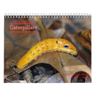 Calendário das lagartas da série do quintal