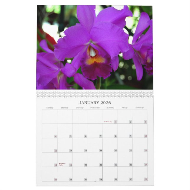 Calendário das orquídeas (Jan 2026)