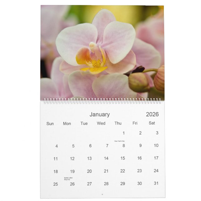 Calendário das orquídeas 2011 (Jan 2026)