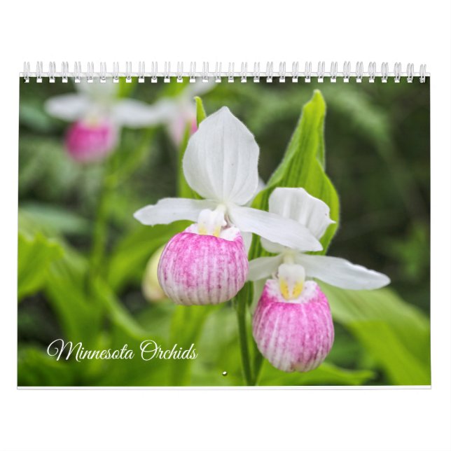 Calendário das orquídeas de Minnesota (Capa)